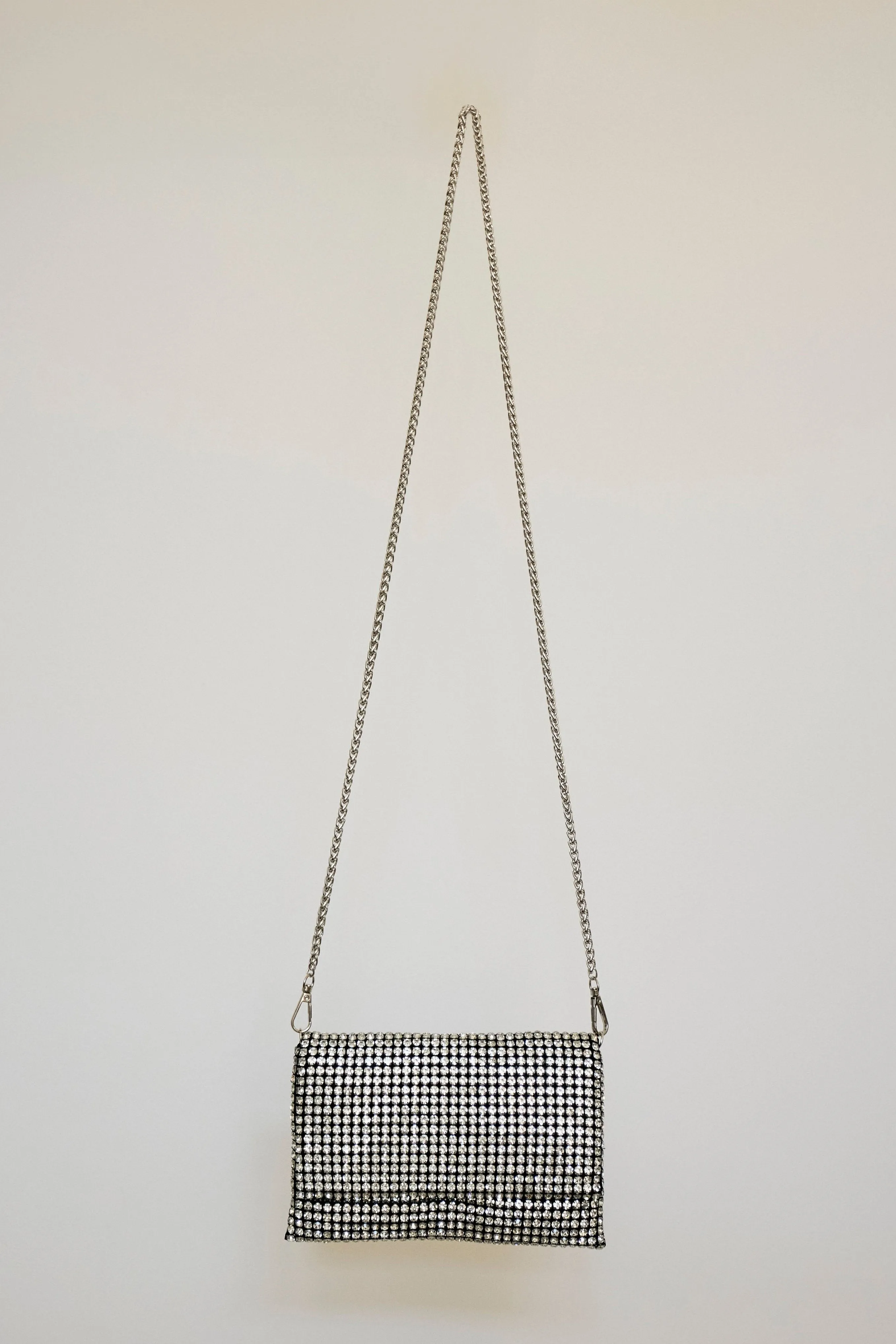 The Metallic Clutch in Silver